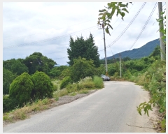  2019Ÿ��1255 ���� ������ ���� �� 550      ����(��1)���