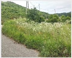  2019Ÿ��1255 ���� ������ ���� �� 550      ����(��1)���