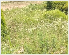  2019Ÿ��1255 ���� ������ ���� �� 550      ����(��1)���