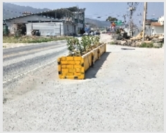  2019Ÿ��10228 ���� ������ ����� �屳�� ��85      ����(�Ӿ�)���