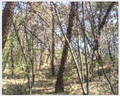  2019Ÿ��10228 ���� ������ ����� �屳�� ��85      ����(�Ӿ�)���