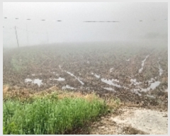  2019Ÿ��10426 ���� ��â�� ����� ������ 1444      ����(��)���