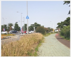  2019Ÿ25310   ȴ ȭ 2026-3      ð