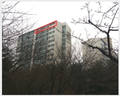  2019Ÿ61808   ϻ꼭 Ųؽ 284, 1907 171701ȣ (ֿ,̸Ʈ)   Ʈ