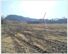  2019Ÿ��1646 ��� ���ֽ� ������ ��긮 279      ����(��1)���