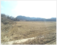  2019Ÿ��1646 ��� ���ֽ� ������ ��긮 279      ����(��1)���