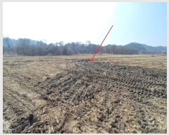  2019Ÿ��1646 ��� ���ֽ� ������ ��긮 279      ����(��1)���