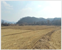  2019Ÿ��1646 ��� ���ֽ� ������ ��긮 279      ����(��1)���