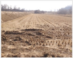  2019Ÿ��1646 ��� ���ֽ� ������ ��긮 279      ����(��1)���