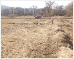  2019Ÿ��1646 ��� ���ֽ� ������ ��긮 279      ����(��1)���