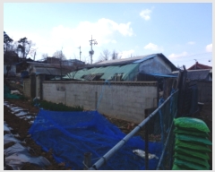  2019Ÿ��3031 ��� ���ֽ� ������ ����� 314-13      ����(����)���