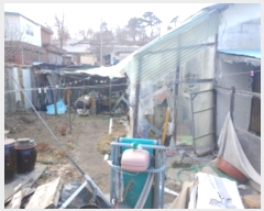  2019Ÿ��3031 ��� ���ֽ� ������ ����� 314-13      ����(����)���