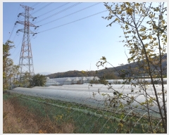  2019Ÿ��3314 ��� ����� ���籸 �ſ��� 346      ����(��)���