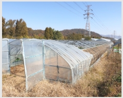  2019Ÿ��3314 ��� ����� ���籸 �ſ��� 346      ����(��)���