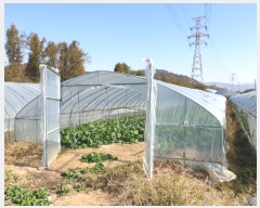  2019Ÿ��3314 ��� ����� ���籸 �ſ��� 346      ����(��)���