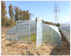  2019Ÿ��3314 ��� ����� ���籸 �ſ��� 346      ����(��)���