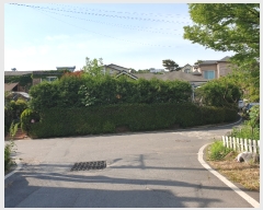  2019Ÿ��64098 ��� ����� �ϻ굿�� ������ 262-34      ���ð��