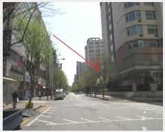  2019Ÿ3963   ϻ굿  20-32,  3332ȣ (׵,ڿշũ3)   ǽڰ
