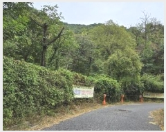  2020Ÿ��107804 ���� ���α� ��â�� 425-2       ����(�Ӿ�)���