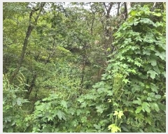  2020Ÿ��107804 ���� ���α� ��â�� 425-2       ����(�Ӿ�)���