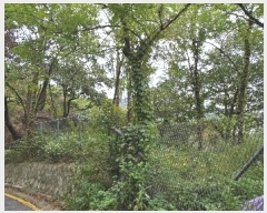  2020Ÿ��107804 ���� ���α� ��â�� 425-2       ����(�Ӿ�)���