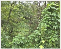  2020Ÿ��107804 ���� ���α� ��â�� 425-2       ����(�Ӿ�)���