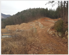  2020Ÿ677   Ǹ 渮 713-2      (Ӿ)