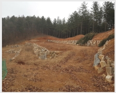  2020Ÿ677   Ǹ 渮 713-2      (Ӿ)