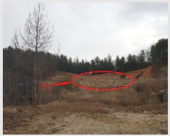  2020Ÿ677   Ǹ 渮 713-2      (Ӿ)