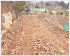  2020Ÿ677   Ǹ 渮 713-2      (Ӿ)