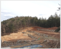  2020Ÿ677   Ǹ 渮 713-2      (Ӿ)