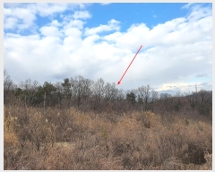  2020Ÿ��30144  �Ӿ߰��