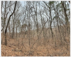  2020Ÿ��30144  �Ӿ߰��