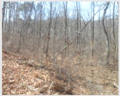  2020Ÿ��30144  �Ӿ߰��