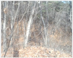  2020Ÿ��30144  �Ӿ߰��