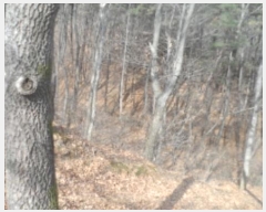  2020Ÿ��30144  �Ӿ߰��