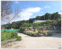  2020Ÿ��2167 ���� ������ ������ ��õ��� ��14      ����(�Ӿ�)���