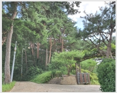  2020Ÿ��2167 ���� ������ ������ ��õ��� ��14      ����(�Ӿ�)���