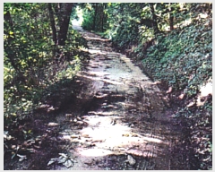  2020Ÿ��2167 ���� ������ ������ ��õ��� ��14      ����(�Ӿ�)���