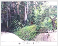  2020Ÿ��2167 ���� ������ ������ ��õ��� ��14      ����(�Ӿ�)���