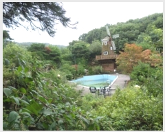  2020Ÿ��502554 ���� ���ֽ� �ηи� ���긮 2121      ����(��1)���