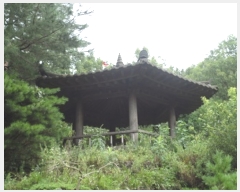  2020Ÿ��502554 ���� ���ֽ� �ηи� ���긮 2121      ����(��1)���