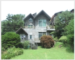  2020Ÿ��502554 ���� ���ֽ� �ηи� ���긮 2121      ����(��1)���