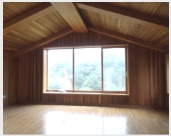  2020Ÿ��502554 ���� ���ֽ� �ηи� ���긮 2121      ����(��1)���