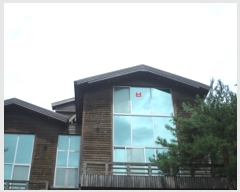  2020Ÿ��502554 ���� ���ֽ� �ηи� ���긮 2121      ����(��1)���