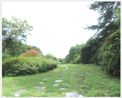  2020Ÿ��502554 ���� ���ֽ� �ηи� ���긮 2121      ����(��1)���