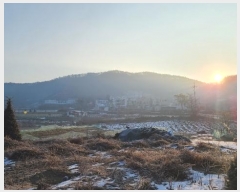  2020Ÿ7494  ûֽ 籸 ̿ ϸ 511-5     (Ӿ)