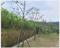  2020Ÿ��107551  ������