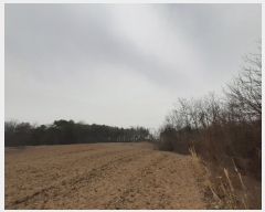  2020Ÿ��13946 ����Ư����ġ�� �屺�� �۹��� 232-12       ����(�Ӿ�)���