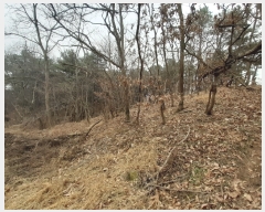  2020Ÿ��13946 ����Ư����ġ�� �屺�� �۹��� 232-12       ����(�Ӿ�)���